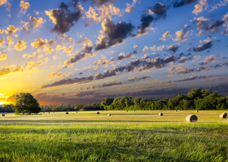 Weather & Climate in Waco, TX